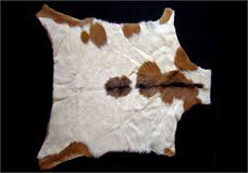 Leather-and-hide Leather-and-hide